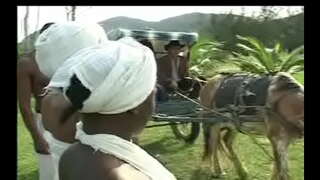 Som Negras da senzala