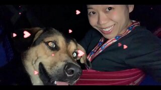 HALLITUS ON VIHOLLINEN ja NE ON k. KAIKKI MEISTÄ, JOS ET RYHTYÄ TOIMIIN NYT! KAATAA TEIDÄN GOVTS &amp;amp; syttyä KAIKKI 5G TORNIT NYT, ENNEN kuin SE k.S MEILLE KAIKILLE!!